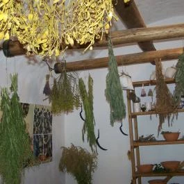 Diósgyőri Vár, Miskolc - 