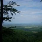 Grandhotel Galya Galyatető - Környék