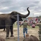 Richter Safari Park Nagykőrös - Egyéb