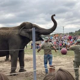 Richter Safari Park Nagykőrös - Egyéb