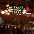 Aranyhomok Business & Wellness Hotel Kecskemét - Külső kép