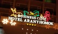 Aranyhomok Business & Wellness Hotel Kecskemét - Külső kép