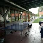 Erdei Wellness Vendégházak Ópusztaszer - Belső