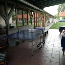 Erdei Wellness Vendégházak, Ópusztaszer - Belső