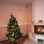 Két Korona Konferencia & Wellness Hotel Balatonszárszó - Belső