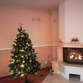 Két Korona Konferencia & Wellness Hotel, Balatonszárszó - Belső