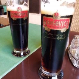 Szent Orbán Erdei Wellness Hotel Kóspallag - Vendéglátás