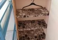 Hotel Regatta Szigetmonostor