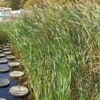 Hotel Vital Zalakaros - Környék