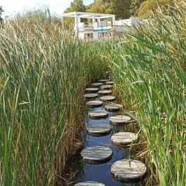 Hotel Vital Zalakaros - Környék