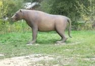 Ipolytarnóci Ősmaradványok Természetvédelmi Terület Ipolytarnóc