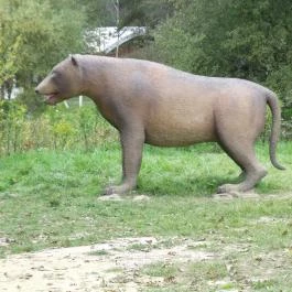 Ipolytarnóci Ősmaradványok Természetvédelmi Terület Ipolytarnóc - Egyéb