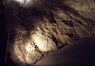 Ipolytarnóci Ősmaradványok Természetvédelmi Terület Ipolytarnóc