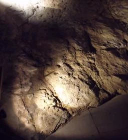 Ipolytarnóci Ősmaradványok Természetvédelmi Terület