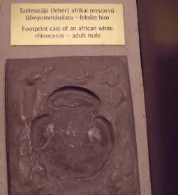 Ipolytarnóci Ősmaradványok Természetvédelmi Terület