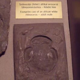 Ipolytarnóci Ősmaradványok Természetvédelmi Terület Ipolytarnóc - Egyéb