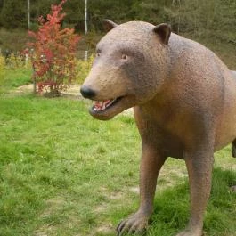 Ipolytarnóci Ősmaradványok Természetvédelmi Terület Ipolytarnóc - Egyéb