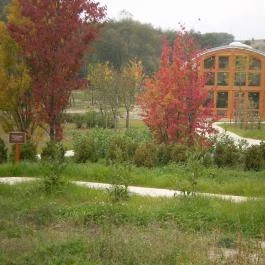 Ipolytarnóci Ősmaradványok Természetvédelmi Terület Ipolytarnóc - Egyéb