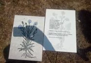 Kazinczy Ferenc Emlékcsarnok Sátoraljaújhely - Széphalom