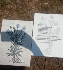 Kazinczy Ferenc Emlékcsarnok