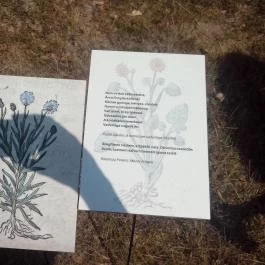 Kazinczy Ferenc Emlékcsarnok Sátoraljaújhely - Széphalom - Egyéb