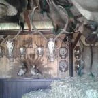 Várpark és Skanzen Dinnyés - 