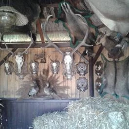 Várpark és Skanzen Dinnyés - Egyéb