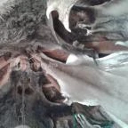 Várpark és Skanzen Dinnyés - 