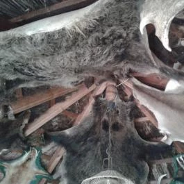 Várpark és Skanzen Dinnyés - Egyéb