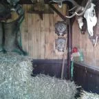 Várpark és Skanzen Dinnyés - 