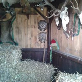 Várpark és Skanzen Dinnyés - Egyéb