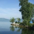 Sellő Kemping Balatonboglár - Környék
