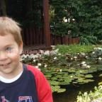 Green Park Villa Wellness & Tréning Eger - Környék