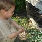 Green Park Villa Wellness & Tréning Eger - Egyéb