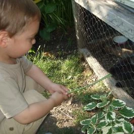 Green Park Villa Wellness & Tréning, Eger - Egyéb