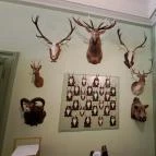 Szabadkígyósi Wenckheim-kastély Szabadkígyós - Belső