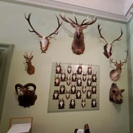 Szabadkígyósi Wenckheim-kastély Szabadkígyós - Belső