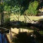 Henry Milne Angol Lovastörténelmi Villamúzeum Fotó & Filmstúdió Tata - Egyéb