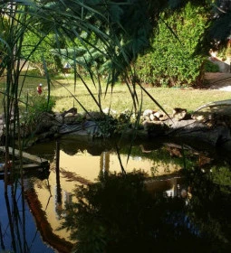 Henry Milne Angol Lovastörténelmi Villamúzeum Fotó & Filmstúdió