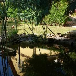 Henry Milne Angol Lovastörténelmi Villamúzeum Fotó & Filmstúdió Tata - Egyéb