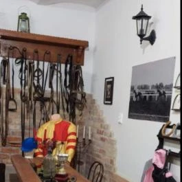 Henry Milne Angol Lovastörténelmi Villamúzeum Fotó & Filmstúdió Tata - Egyéb