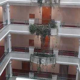 Palace Hotel , Hévíz - Egyéb