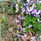 Grandhotel Galya Galyatető - Egyéb