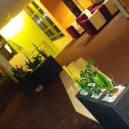 Hotel Európa Gunaras Dombóvár - Belső