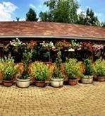 Csendes Pihenő Étterem