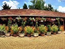 Csendes Pihenő Étterem Vásárosdombó