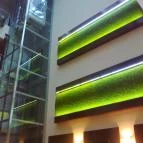 Wellness Hotel Katalin Gyenesdiás - Belső