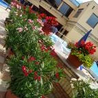 Hotel Kapitány Superior Wellness Sümeg - Medence/kert