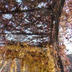 Káli Art Inn Hotel Köveskál - Egyéb