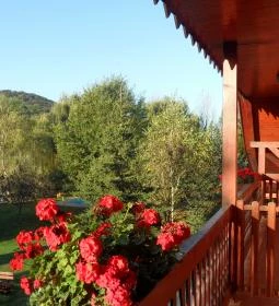 Puskás Akadémia Sport és Wellness Hotel